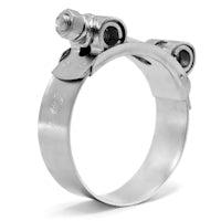 Carbon steel clamps 