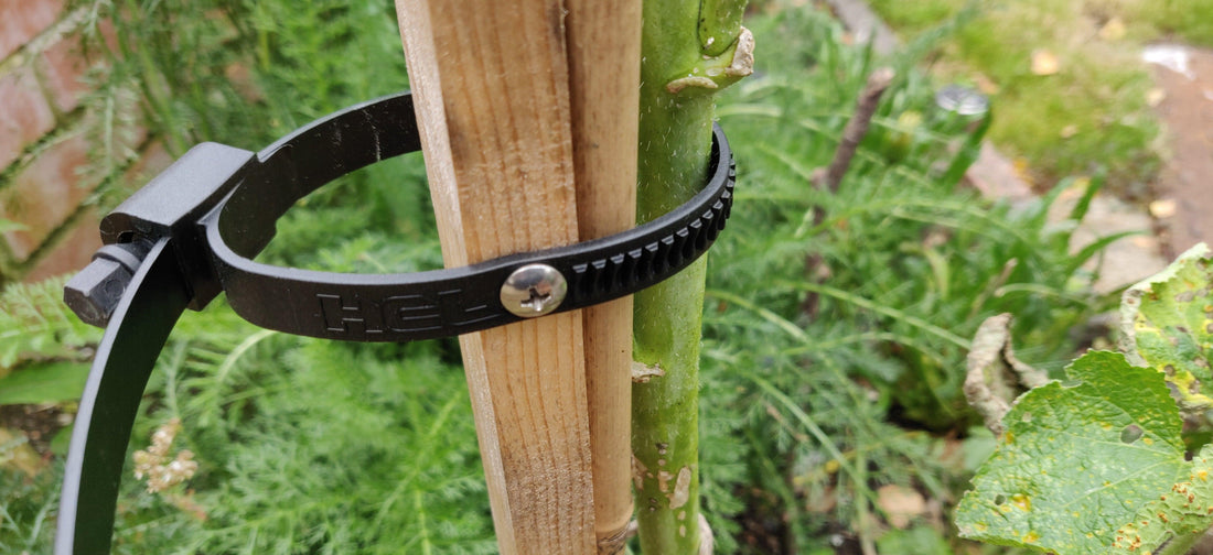 Indoor Horticulture Clamping 